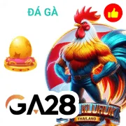 vm38 Game 09